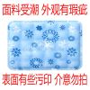 特卖宠物冰垫狗狗猫咪窝夏季降温冰凉垫耐咬防水宠物用品宠物凉席 30*30cm蓝色雪花(30厘米内) 买1发1(1个装)