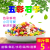 【半斤彩石】多肉植物花盆栽铺面石五彩石头彩石子彩色小石子水培鱼缸装饰造景