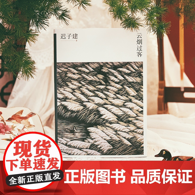 云烟过客 迟子建散文系列 新版 中国现当代随笔传记名家经典散文集作品选集 青少年课外阅读精选文学书籍 正版书籍