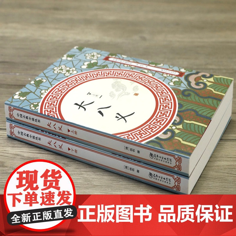 (上下2册)大八义中华武侠经典大八义小八义三侠五义小五义续小五义狭义小说书籍中国古典小说丛书