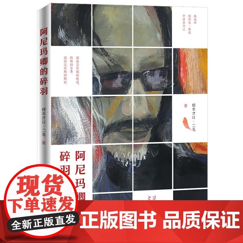 阿尼玛卿的碎羽