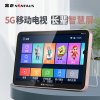 金正(NiNTAUS)老年人小电视便携式唱戏机看戏机听戏视频播放器一体老人专用插卡usb通用音箱