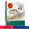 牝狼 [正版]沈石溪系列画本中外动物小说大王经典品藏书系列后一头战象斑羚飞渡第七条猎狗红奶羊白象家族小学生四五六年级老师