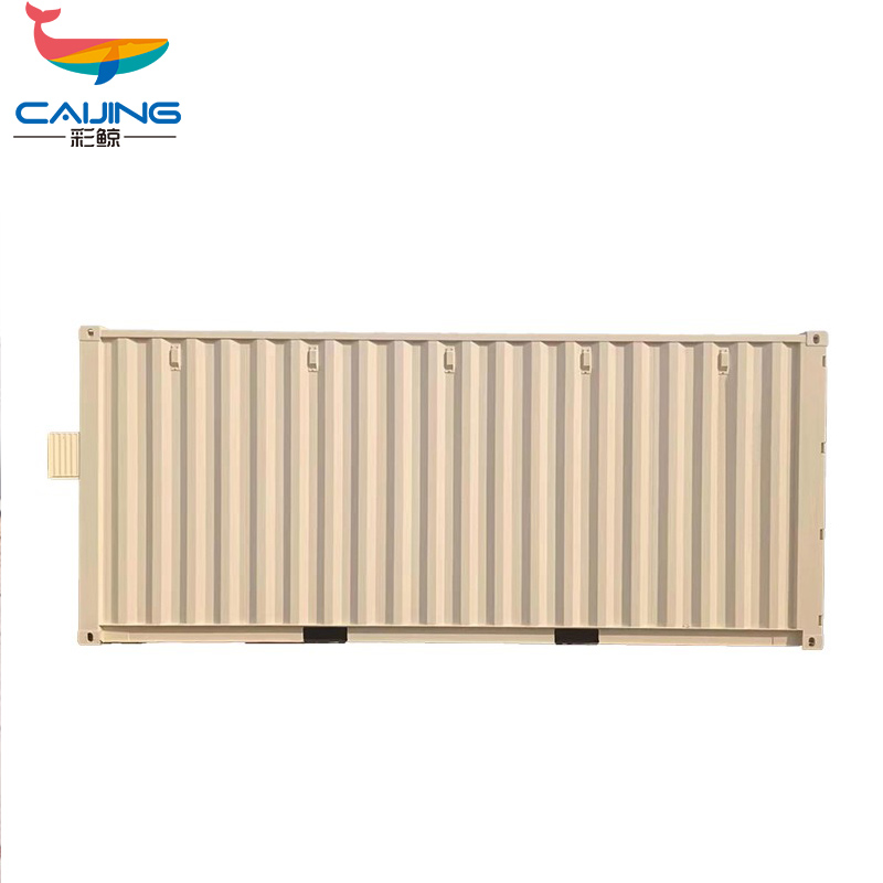 彩鲸(CAIJING) CJ-JZX40000集装箱房屋住人集成移动打包箱20GP海运集装箱海运柜