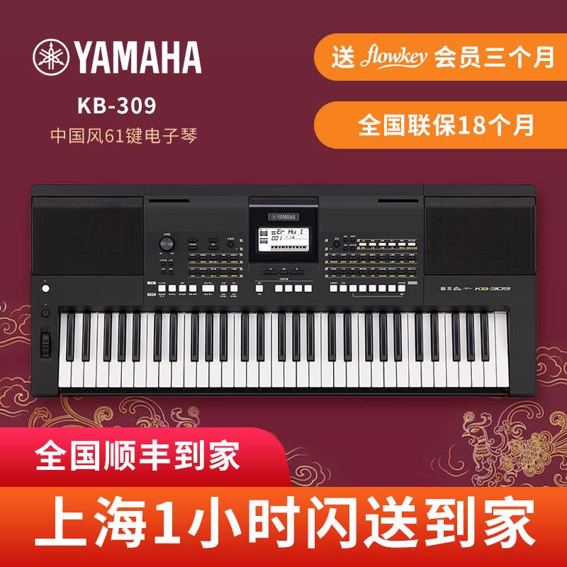 Yamaha/雅马哈 KB-309 电子琴演奏 61键 成人儿童考级 正品行货图片