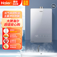 海尔(Haier)燃气热水器16升家用水气双调恒温即热式精控微火智能e感温WIFI智控