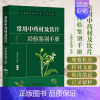常用中药材及饮片经验鉴别手册 [正版]常用中药材及饮片经验鉴别手册 张晓明 沈涛 中医古籍出版社 根及根茎类中药 皮类