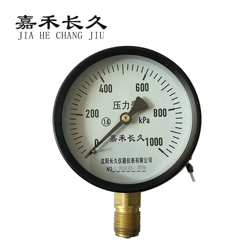 嘉禾长久/风表(压力表)1.6级/Y100 0-1000KPA/个 0-1000KPA