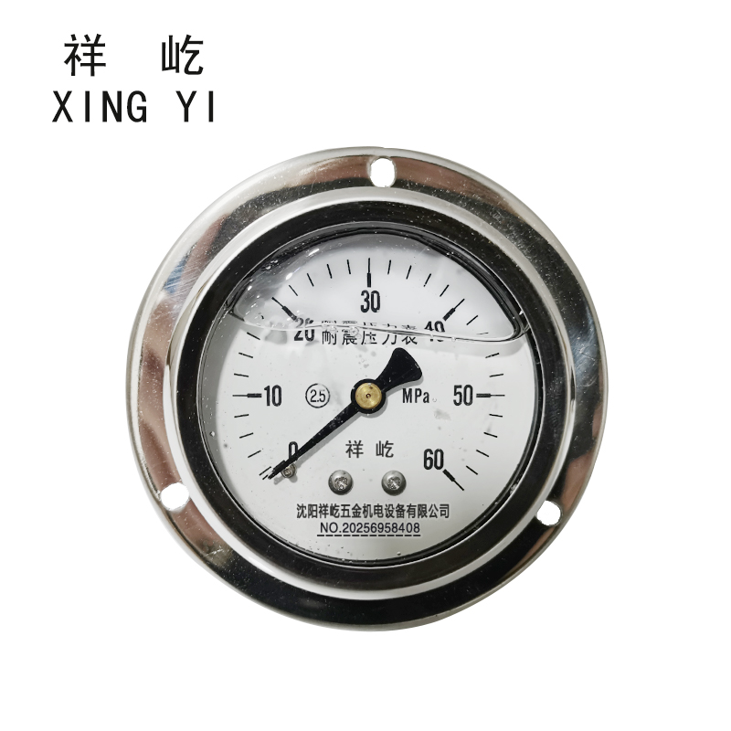 祥屹 耐震压力表(轴向带边) YN60ZT 块 0-60Mpa