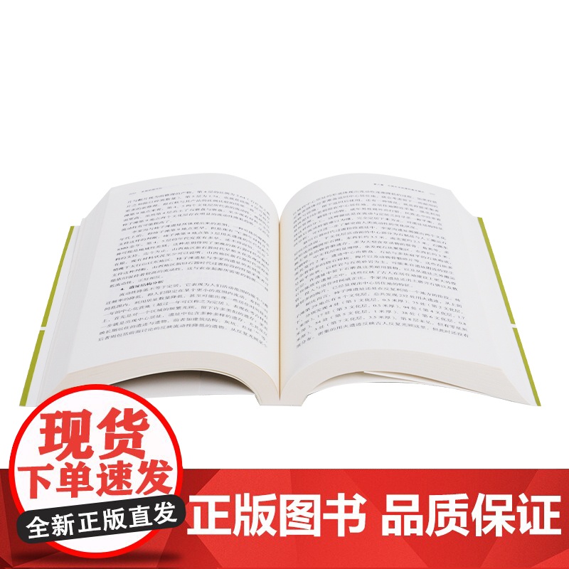 史前的现代化 从狩猎采集到农业起源 陈胜前 著 三联书店高清大图