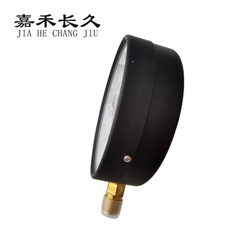 嘉禾长久/压力表/Y150/1.6级/个高清大图