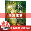书 森林疗法:拥抱大自然、获得幸福的季节性方法 鹿鸣心理 亲近自然,从大自然中汲取身心疗愈的能量 重庆大学出版社