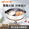 九阳(Joyoung)电火锅鸳鸯锅 可分离多用途锅炖煮煎炸蒸电热家用多功能 智能打边炉家用大功率电煮锅 C21-HG3