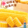 [西沛生鲜]东北玉米新鲜黄糯玉米 8根装 单根220-240g 黏玉米甜糯玉米袋装粘玉米黄糯玉米现摘
