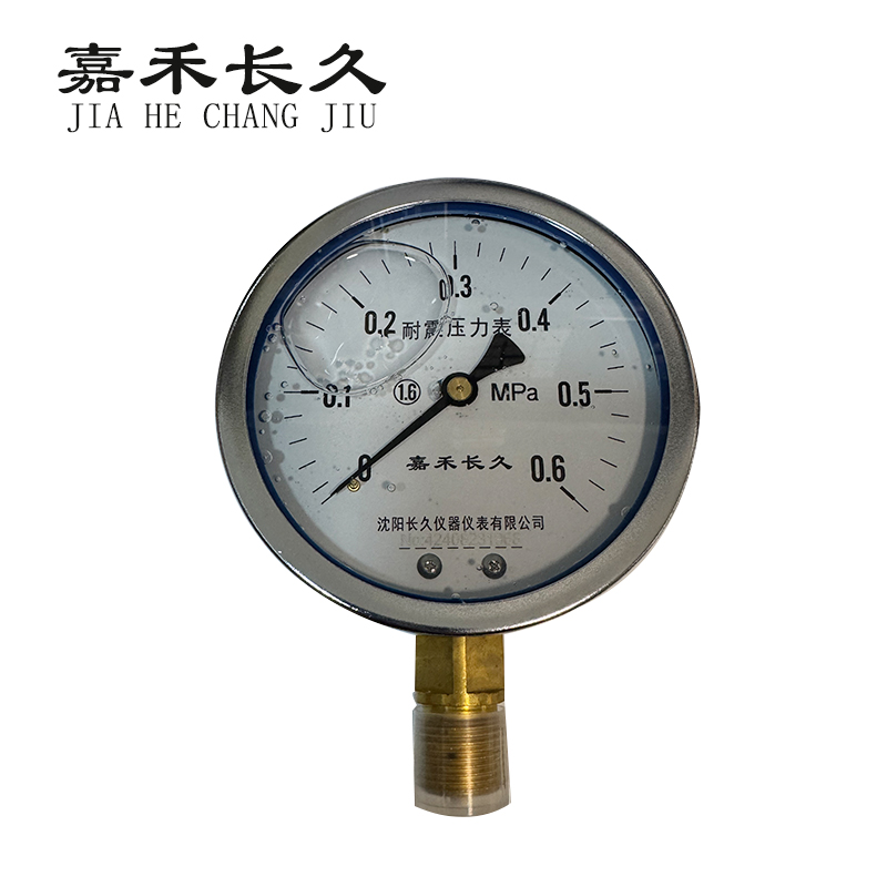 嘉禾长久/耐震压力表/YTN100 /个 0-0.6MPa