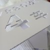 鹿鸣原 模具喷漆 180x120 块