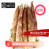 【顺丰发货】天目山新鲜春笋雷笋5斤装竹笋新鲜蔬菜15-25根左右