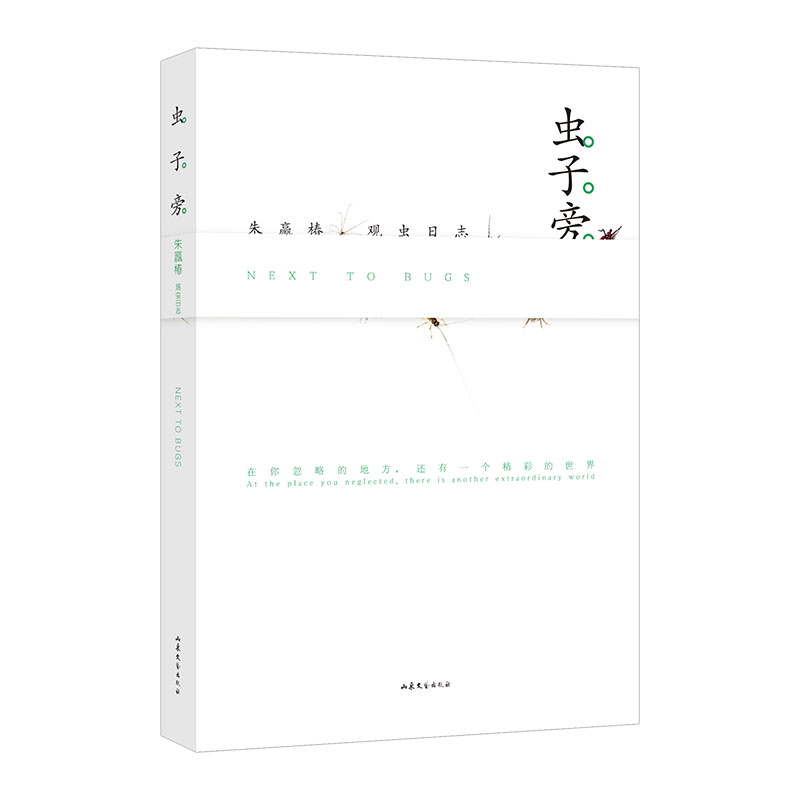 [正版]书店 书籍 虫子旁 朱赢椿观虫日志 高清摄影生动手绘优美散文细腻描绘虫子的趣味世界科普完整经典版当代文学作品高清大图