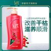 舒蕾洗发水女去屑控油女香味持久留香护发素洗头膏沐浴露套装 山茶花焗油莹亮洗发露900ML