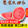 越南黑美人西瓜5-6斤 新鲜直发陈福记水果