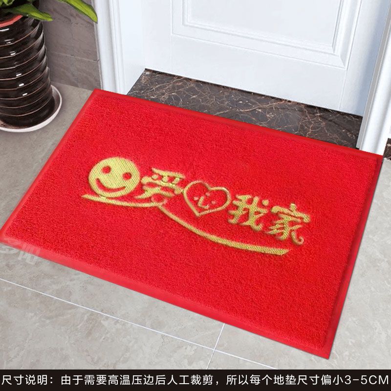 sleepybear出入平安地垫丝圈地垫进门蹭土脚垫入户门口门垫塑料防滑刮