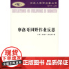 摩洛哥田野作业反思(汉译人类学名著丛书) [美]保罗·拉比诺 商务印书馆