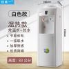 普通白 温热款 家用饮水机立式冷热家用节能温热冰热办公室开水机桶装直饮水机器