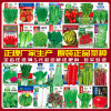 [补贴10%]蔬菜种子四季播盆栽阳台庭院香菜生菜菠菜小葱简单秋易种籽孑大全