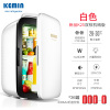 科敏(KEMIN)K25小冰箱迷你型小型家用寝室化妆品面膜宿舍用车载mini租房 K25双核机械版