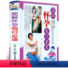 [正版]图解怀孕每日读 彩图版 健康妈妈怀孕秘诀 宝宝的孕育方法 孕产保健知识 十月怀胎百科全书 怀孕书籍 孕妇书怀孕