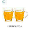 玻璃杯女家用ins风带把水杯茶杯啤酒杯牛奶早餐杯咖啡果汁杯耐热 封后 2只菠萝把杯