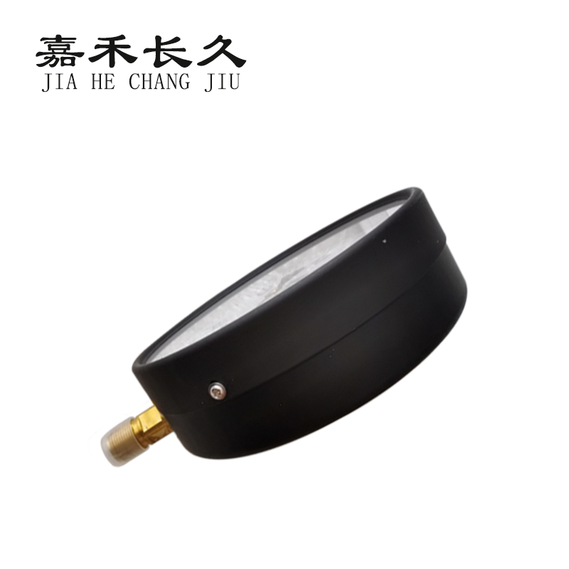 嘉禾长久/普通压力表/Y200/个高清大图