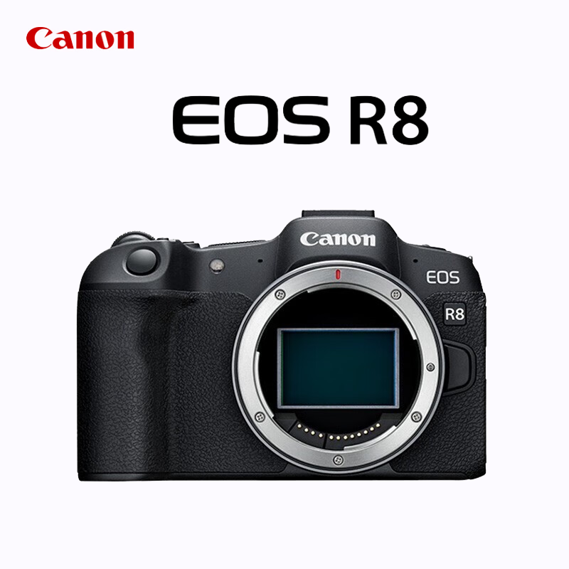 佳能(Canon)EOS R8 r8单机身 全画幅微单相机 佳能r8专微轻型 直播相机 6K超采样 VLOG视频 海外版高清大图