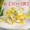 ins风仿真花手捧花小雏菊荷兰菊花写真摄影道具假花装饰花摆件花