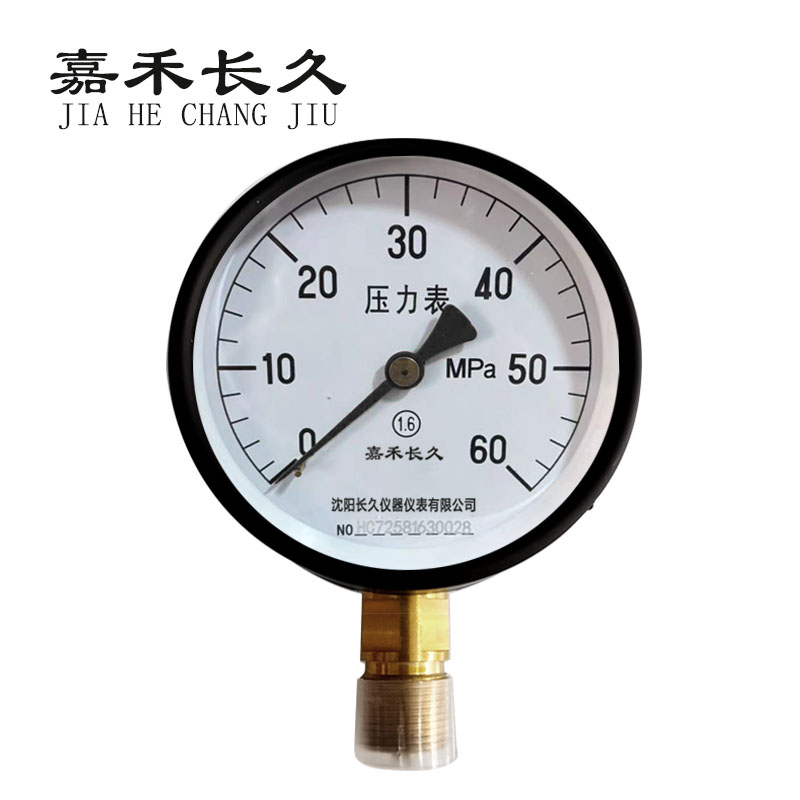 嘉禾长久+压力表检测定制型+Y100+块 0-60Mpa