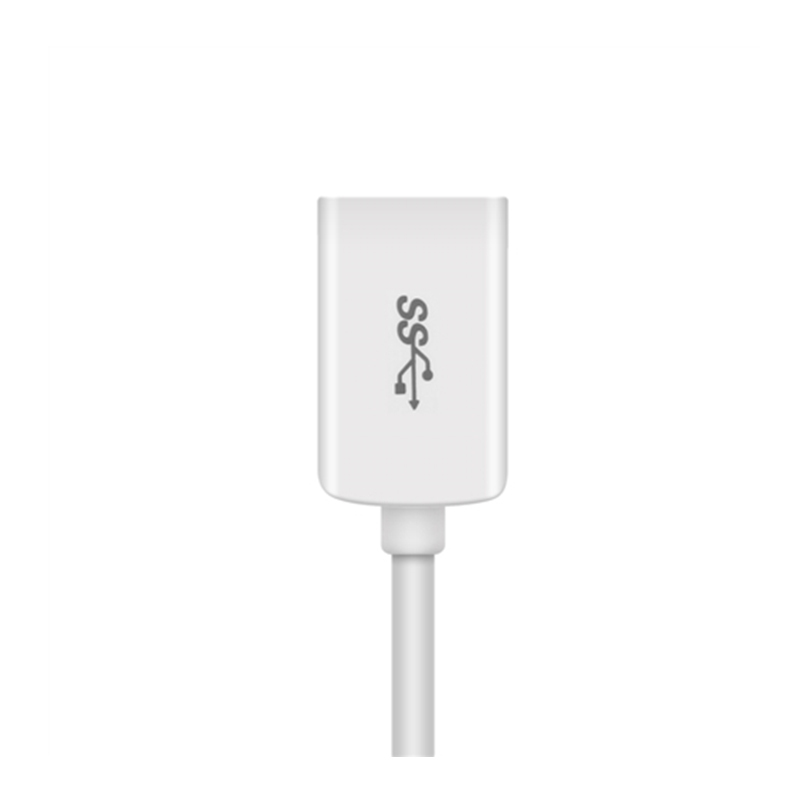 品胜 USB Type-C OTG 数据线 150mm 苹果白 单条装