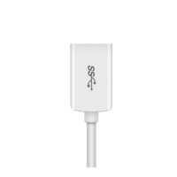品胜 USB Type-C OTG 数据线 150mm 苹果白 单条装