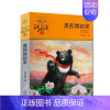 黑熊舞蹈家 [正版]我们一起走迪克 动物小说大王沈石溪品藏书系 青少年经典课外读物 儿童课外书 中国儿童文学