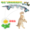 新款电动猫玩具旋转逗猫棒飞舞蝴蝶小鸟宠物猫咪玩具电动逗猫小鸟(请先与客服确认再)