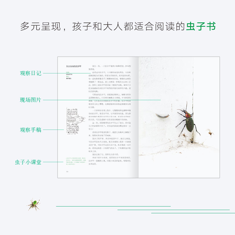 [正版]书店 书籍 虫子旁 朱赢椿观虫日志 高清摄影生动手绘优美散文细腻描绘虫子的趣味世界科普完整经典版当代文学作品高清大图
