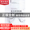 正版 暴力犯罪死刑限制与改革研究 黄晓亮著 中国人民公安大学出