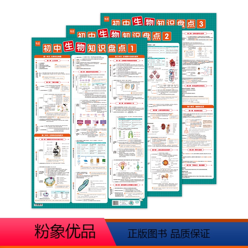 初中生物知识盘点挂图(3张) [正版]初中生物知识盘点挂图知识点汇总海报梳理分类汇总生物实验墙画七八九年级