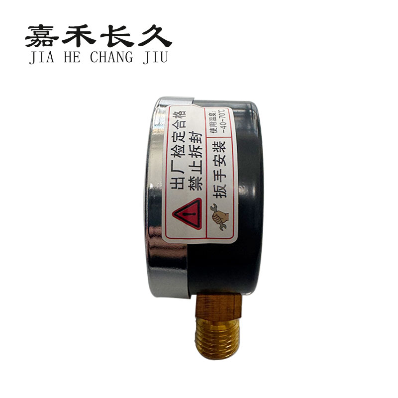嘉禾长久+氮气压力表检测定制型+Y60+块高清大图