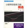 张世祥小提琴教材系列:小提琴初级练习曲精选(修订版)(第2册)