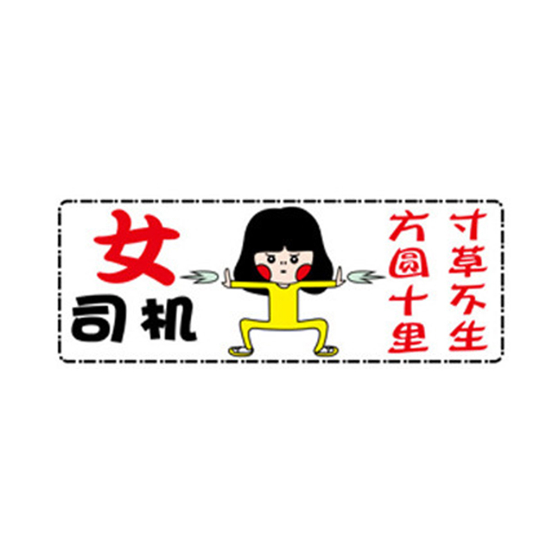 汽车个性车贴搞笑新手上路车贴磁吸式卡通汽车贴纸实习标志女司机新手