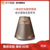 雅马哈(Yamaha)LSX-170 光音系列迷你音响 灯光蓝牙音箱 光音系统桌面书架式 摩卡棕