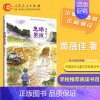 [正版] 鬼眼男孩 中国当代儿童文学名家丛书黄蓓佳少儿文集 寒暑假读物课外阅读3-6-12岁