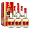 宜宾五粮液东方娇子精酿级52度国产高度白酒500mL*6瓶浓香型白酒喜酒婚宴喜庆酒