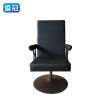 备冠 休闲椅 53*58*114cm 把