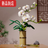 真智力花束创意蝴蝶兰玫瑰花插花益智拼装女生礼物摆件积木玩具